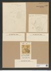 Triceratium barbadense Grev. (de-Toni-Nr.: Genus 140, Species 3977) Zeichnungen Sammlung Grunow Nr. 7452 (NHMW-BOT-W0376543)